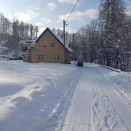 Bolkov