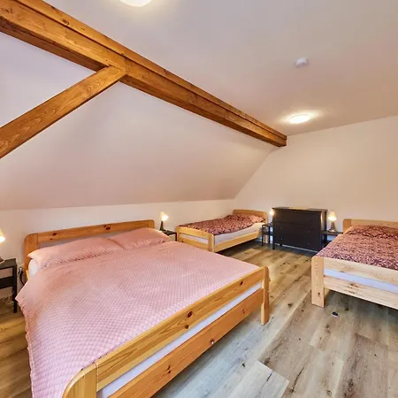 Apartmán Bolkov *