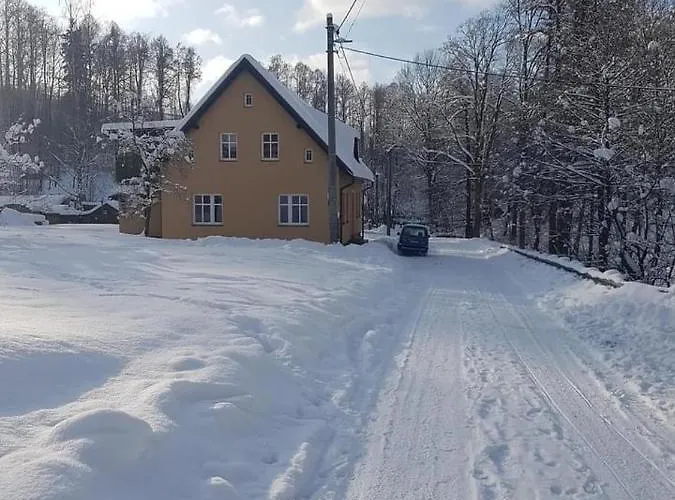 Bolkov